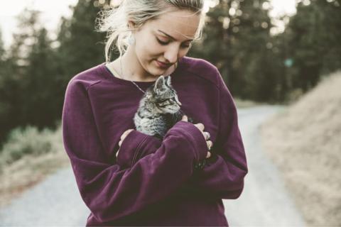 Saiba como escolher nomes para gato branco